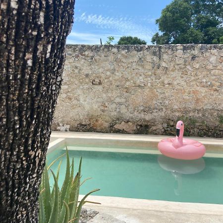 カンペチェ La Casa Rosal, Poolヴィラ エクステリア 写真